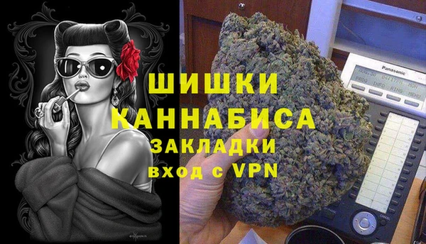 спиды Богданович