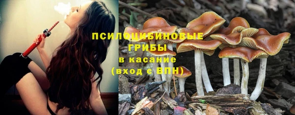 MESCALINE Богородицк