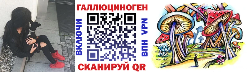 Псилоцибиновые грибы Psilocybine cubensis  как найти наркотики  Калуга 