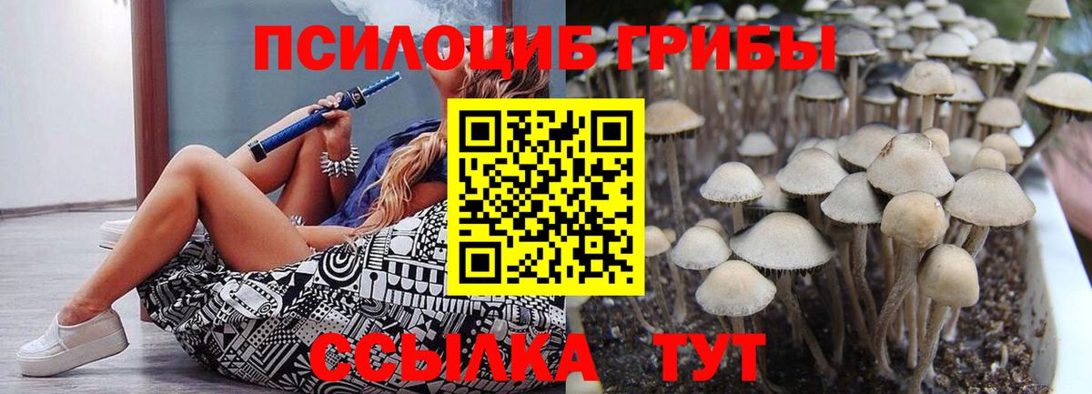 Псилоцибиновые грибы Cubensis Калуга